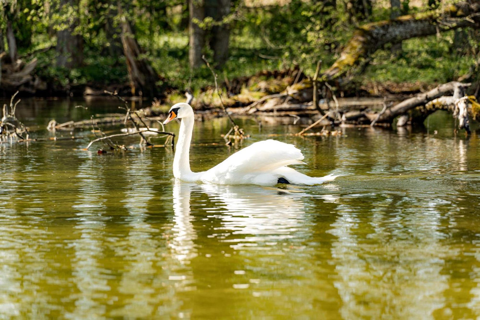 Karczma Zacisze Bed & Breakfast Krutyń Dış mekan fotoğraf